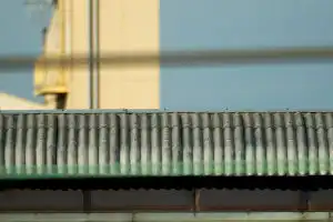 BORG 101ED+ACNO3で撮影